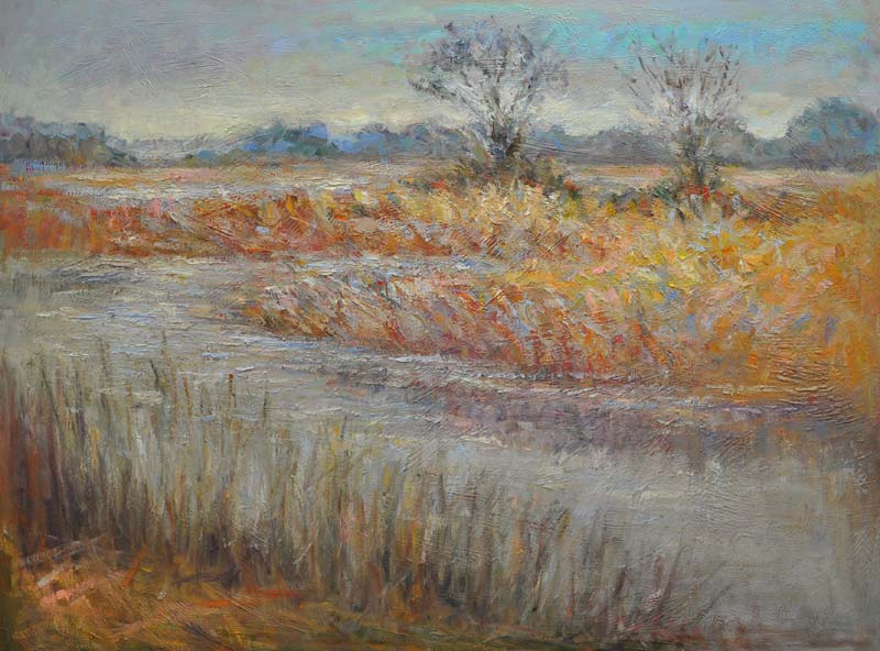 Winter Marsh